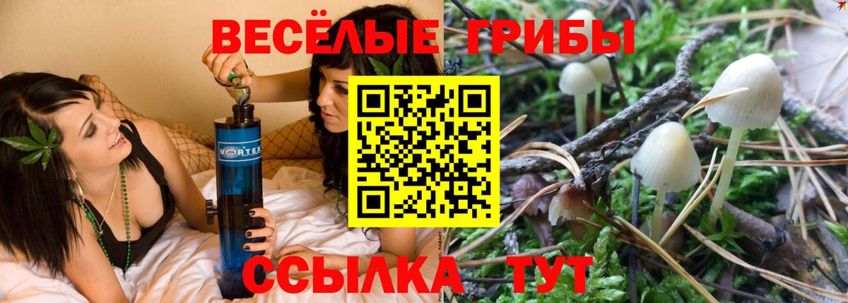 Котовск  Псилоцибиновые грибы GOLDEN TEACHER  Вход с VPN  Галлюциногенные грибы MAGIC MUSHROOMS 